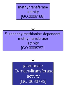 GO:0030795 - jasmonate O-methyltransferase activity (interactive image map)