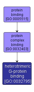 GO:0032795 - heterotrimeric G-protein binding (interactive image map)