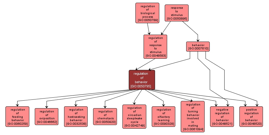 GO:0050795 - regulation of behavior (interactive image map)