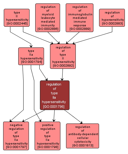 GO:0001796 - regulation of type IIa hypersensitivity (interactive image map)