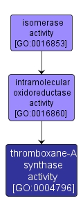 GO:0004796 - thromboxane-A synthase activity (interactive image map)