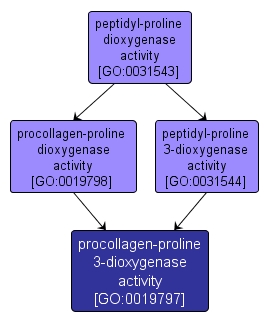 GO:0019797 - procollagen-proline 3-dioxygenase activity (interactive image map)