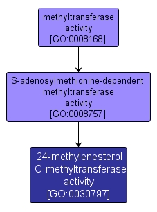 GO:0030797 - 24-methylenesterol C-methyltransferase activity (interactive image map)