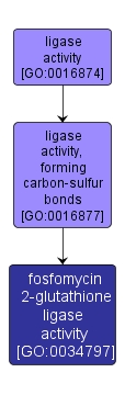 GO:0034797 - fosfomycin 2-glutathione ligase activity (interactive image map)