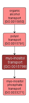 GO:0015798 - myo-inositol transport (interactive image map)