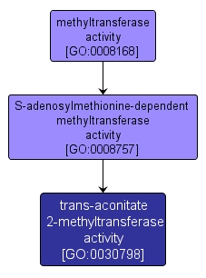 GO:0030798 - trans-aconitate 2-methyltransferase activity (interactive image map)