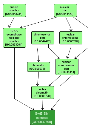 GO:0032798 - Swi5-Sfr1 complex (interactive image map)