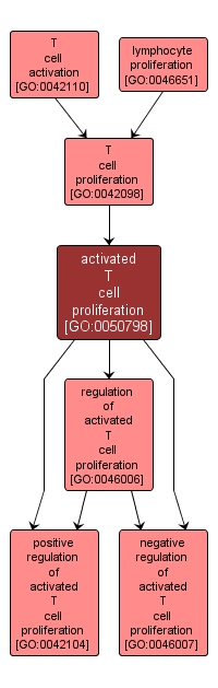 GO:0050798 - activated T cell proliferation (interactive image map)