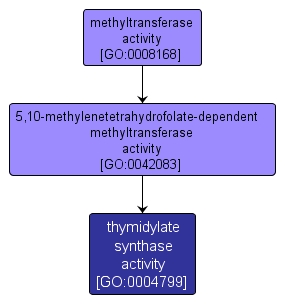 GO:0004799 - thymidylate synthase activity (interactive image map)