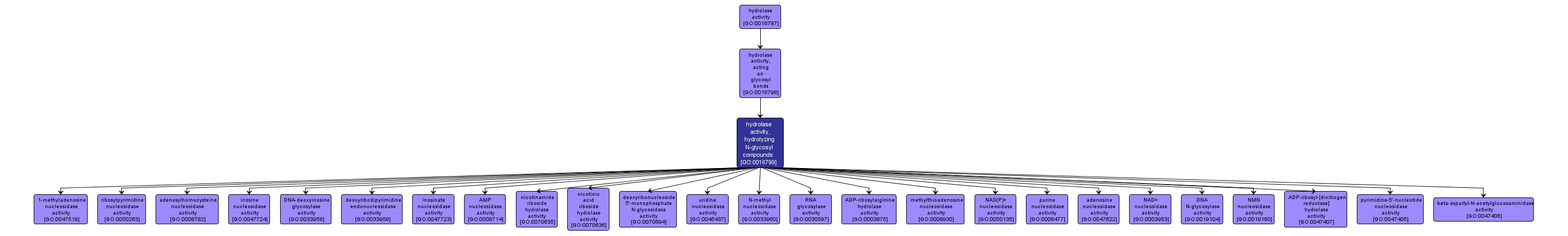 GO:0016799 - hydrolase activity, hydrolyzing N-glycosyl compounds (interactive image map)