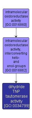 GO:0034799 - dihydride TNP tautomerase activity (interactive image map)