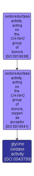 GO:0043799 - glycine oxidase activity (interactive image map)
