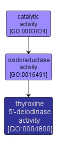 GO:0004800 - thyroxine 5'-deiodinase activity (interactive image map)