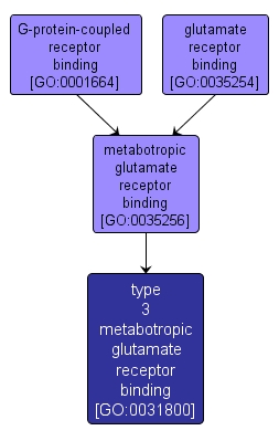 GO:0031800 - type 3 metabotropic glutamate receptor binding (interactive image map)