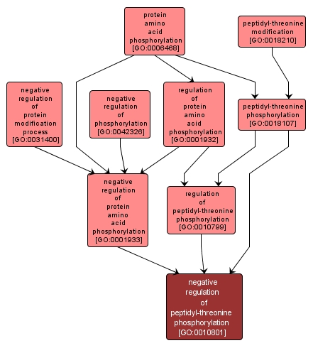 GO:0010801 - negative regulation of peptidyl-threonine phosphorylation (interactive image map)