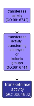 GO:0004802 - transketolase activity (interactive image map)
