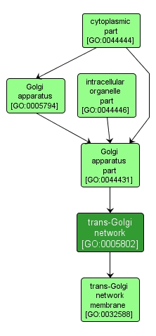 GO:0005802 - trans-Golgi network (interactive image map)