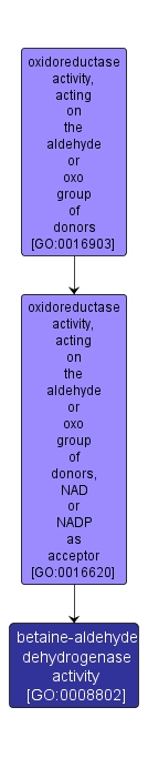 GO:0008802 - betaine-aldehyde dehydrogenase activity (interactive image map)
