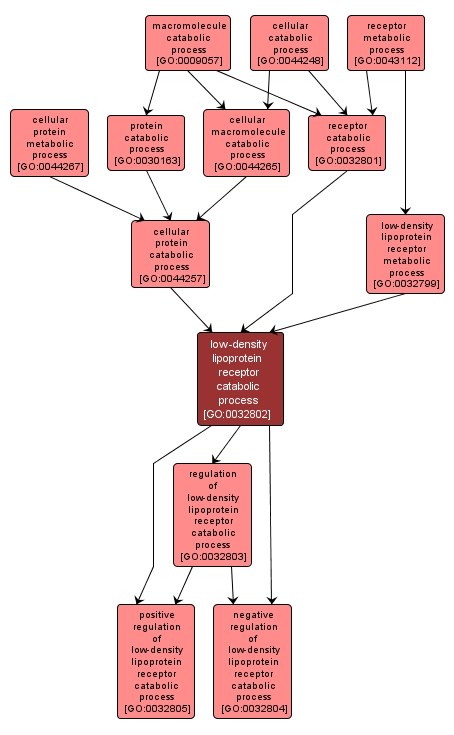 GO:0032802 - low-density lipoprotein receptor catabolic process (interactive image map)