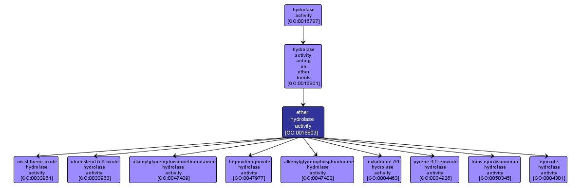 GO:0016803 - ether hydrolase activity (interactive image map)