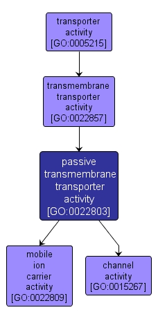 GO:0022803 - passive transmembrane transporter activity (interactive image map)