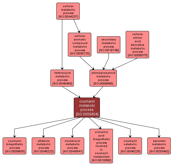 GO:0009804 - coumarin metabolic process (interactive image map)