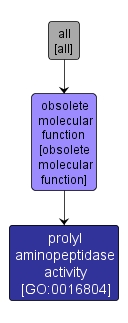 GO:0016804 - prolyl aminopeptidase activity (interactive image map)