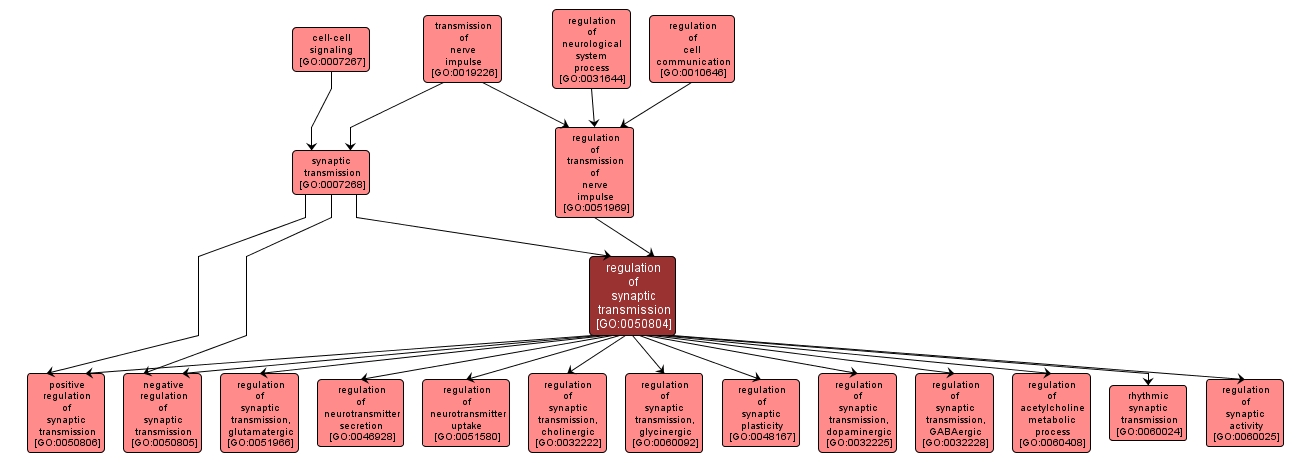 GO:0050804 - regulation of synaptic transmission (interactive image map)