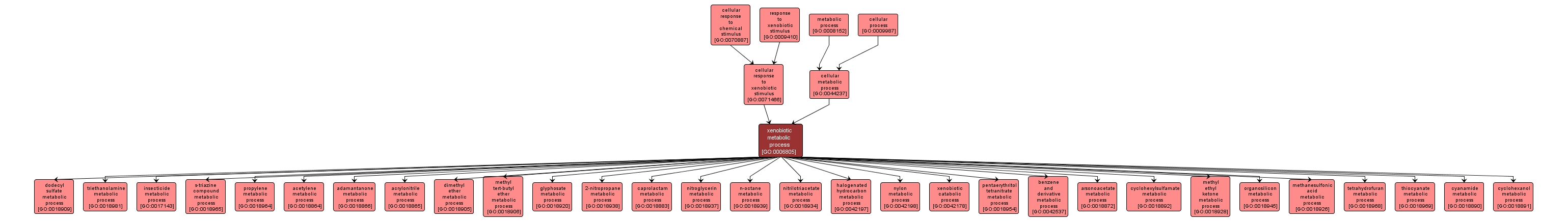 GO:0006805 - xenobiotic metabolic process (interactive image map)