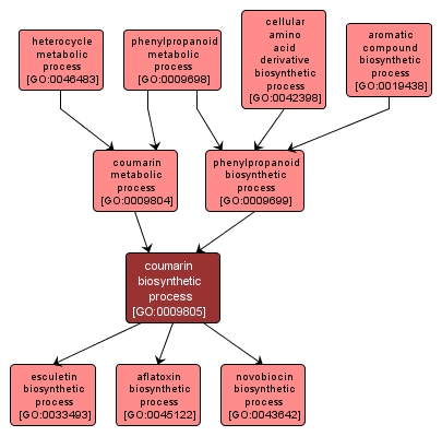 GO:0009805 - coumarin biosynthetic process (interactive image map)