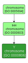 GO:0000806 - Y chromosome (interactive image map)