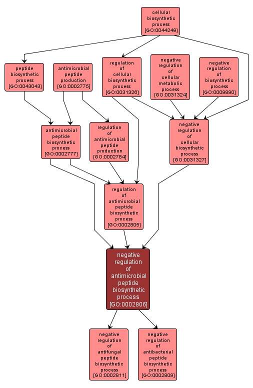 GO:0002806 - negative regulation of antimicrobial peptide biosynthetic process (interactive image map)