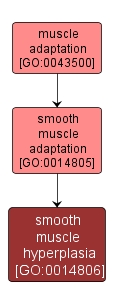 GO:0014806 - smooth muscle hyperplasia (interactive image map)