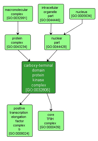 GO:0032806 - carboxy-terminal domain protein kinase complex (interactive image map)