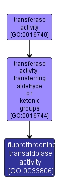 GO:0033806 - fluorothreonine transaldolase activity (interactive image map)
