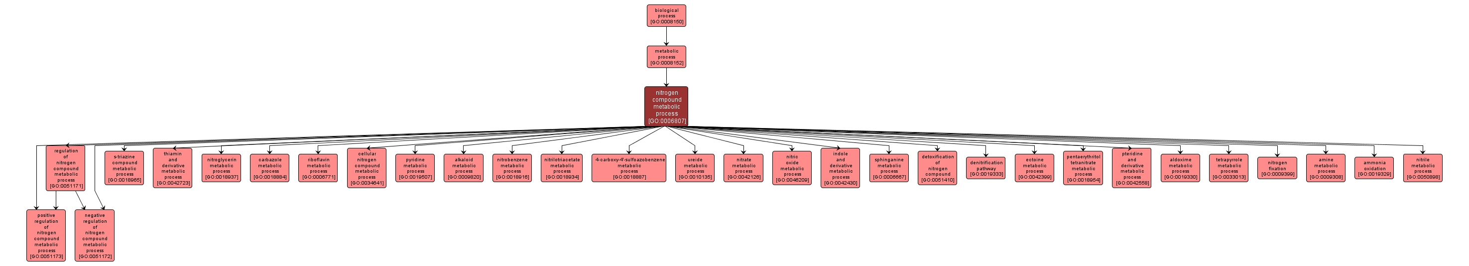 GO:0006807 - nitrogen compound metabolic process (interactive image map)