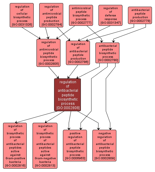 GO:0002808 - regulation of antibacterial peptide biosynthetic process (interactive image map)