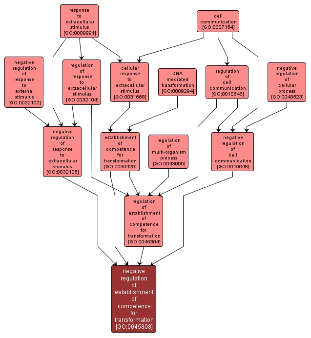 GO:0045808 - negative regulation of establishment of competence for transformation (interactive image map)