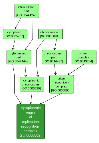 GO:0000809 - cytoplasmic origin of replication recognition complex (interactive image map)