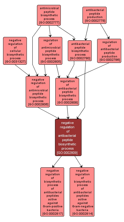 GO:0002809 - negative regulation of antibacterial peptide biosynthetic process (interactive image map)