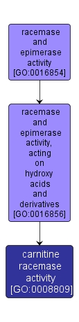 GO:0008809 - carnitine racemase activity (interactive image map)