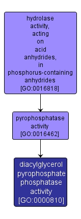 GO:0000810 - diacylglycerol pyrophosphate phosphatase activity (interactive image map)