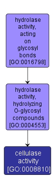 GO:0008810 - cellulase activity (interactive image map)