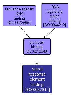 GO:0032810 - sterol response element binding (interactive image map)