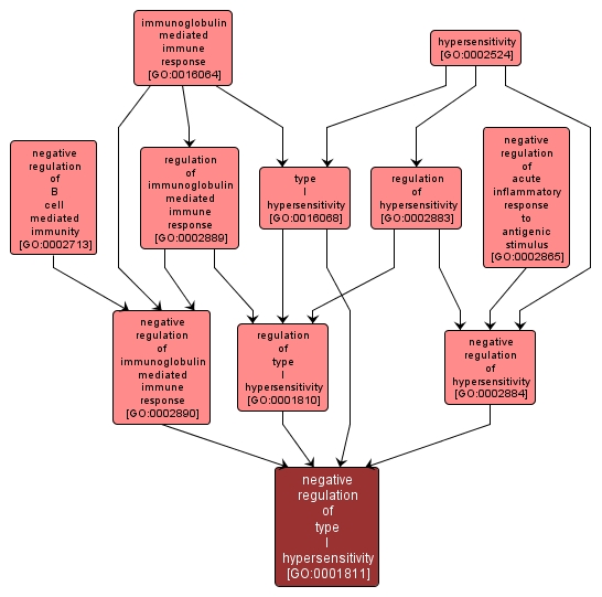 GO:0001811 - negative regulation of type I hypersensitivity (interactive image map)