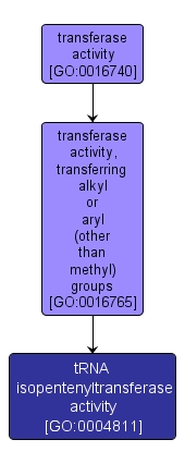 GO:0004811 - tRNA isopentenyltransferase activity (interactive image map)