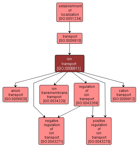 GO:0006811 - ion transport (interactive image map)