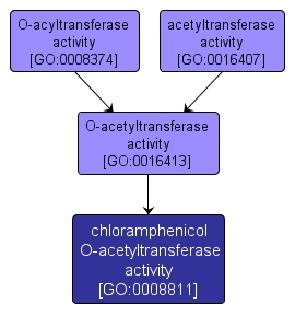 GO:0008811 - chloramphenicol O-acetyltransferase activity (interactive image map)