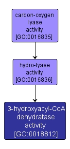 GO:0018812 - 3-hydroxyacyl-CoA dehydratase activity (interactive image map)