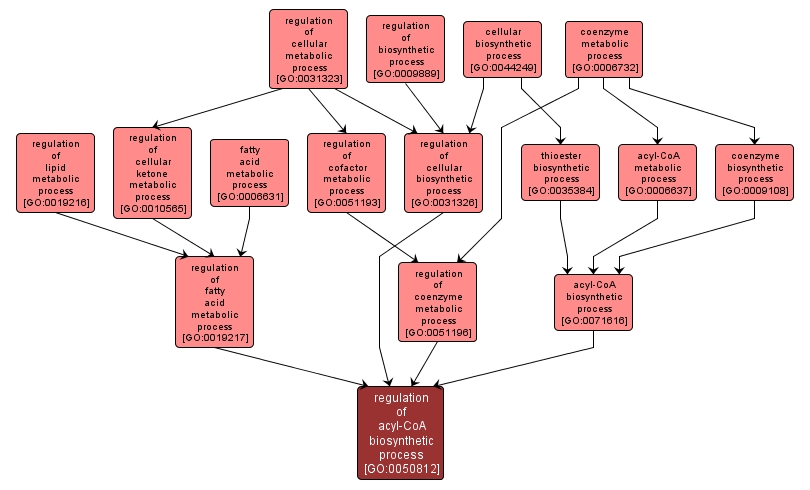 GO:0050812 - regulation of acyl-CoA biosynthetic process (interactive image map)